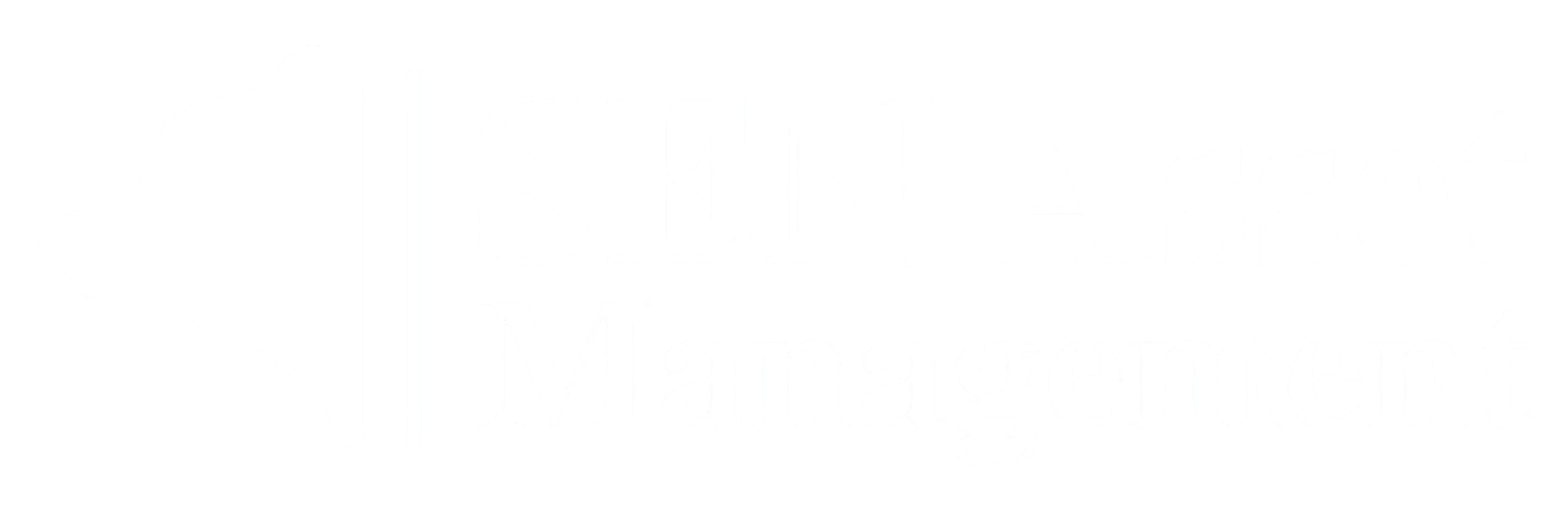 SEN Asset Management